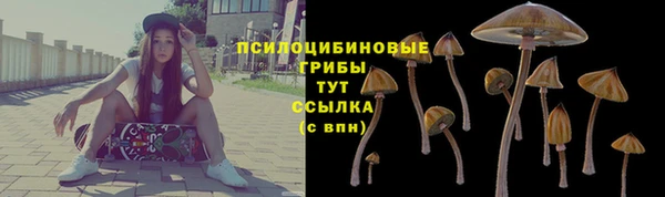 spice Армянск